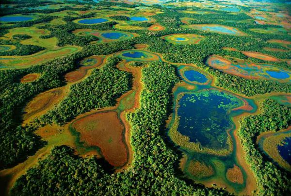 Pantanal-2